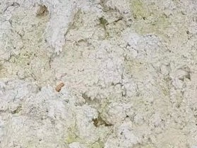 消费低迷进一步强化 纸浆继续小幅下跌