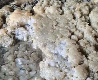 生活用纸纸浆浆料有哪些? 生活用纸纸浆浆料有哪些?